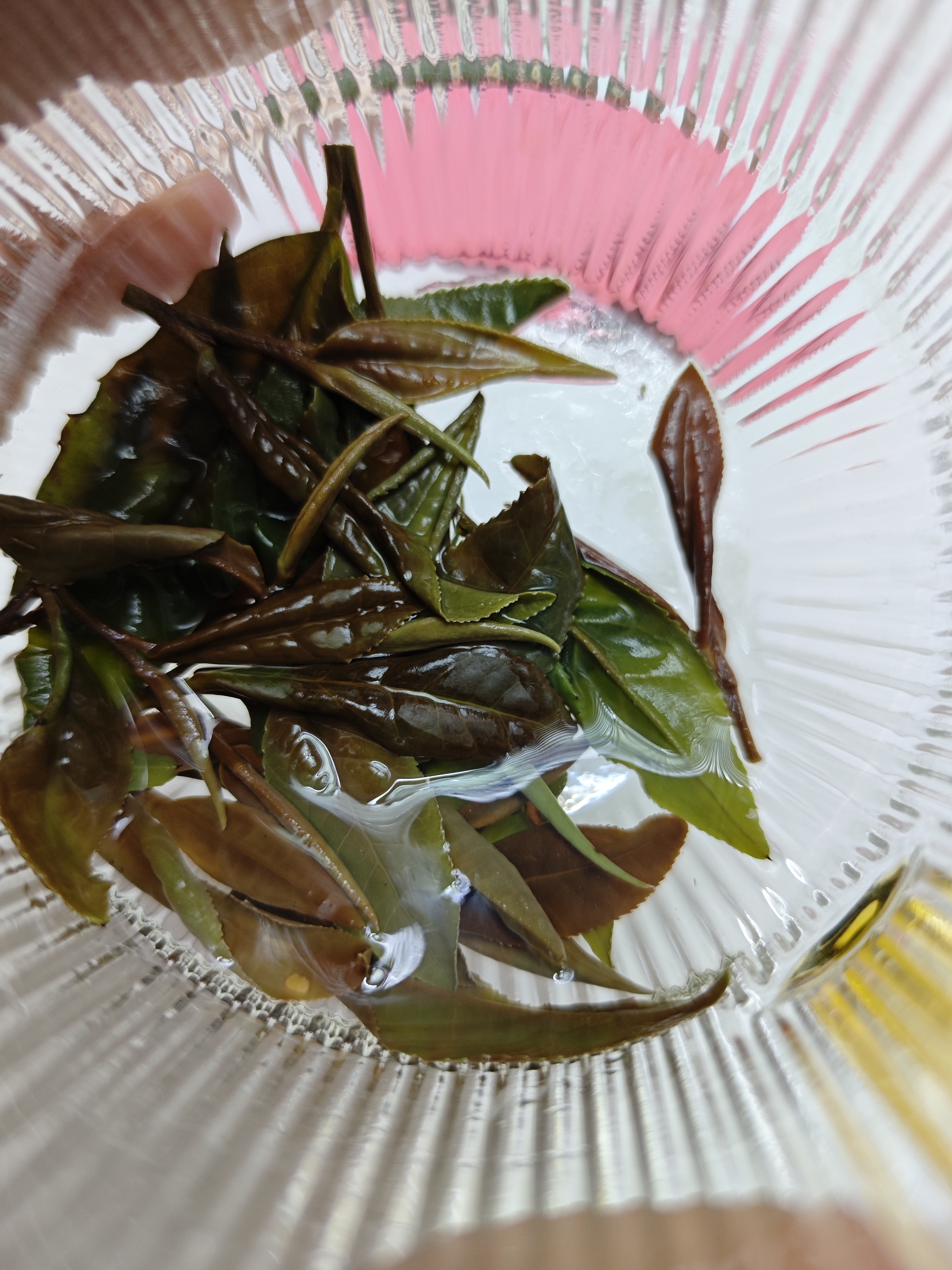 自然製作 高山野茶 白茶 紅茶(第 3 張)