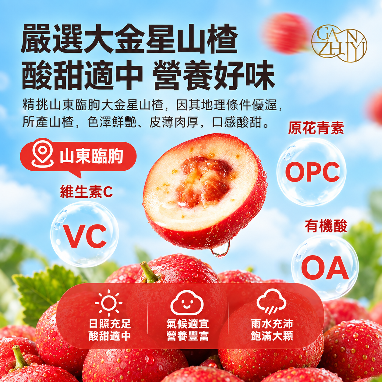六物山楂條(第 2 張)