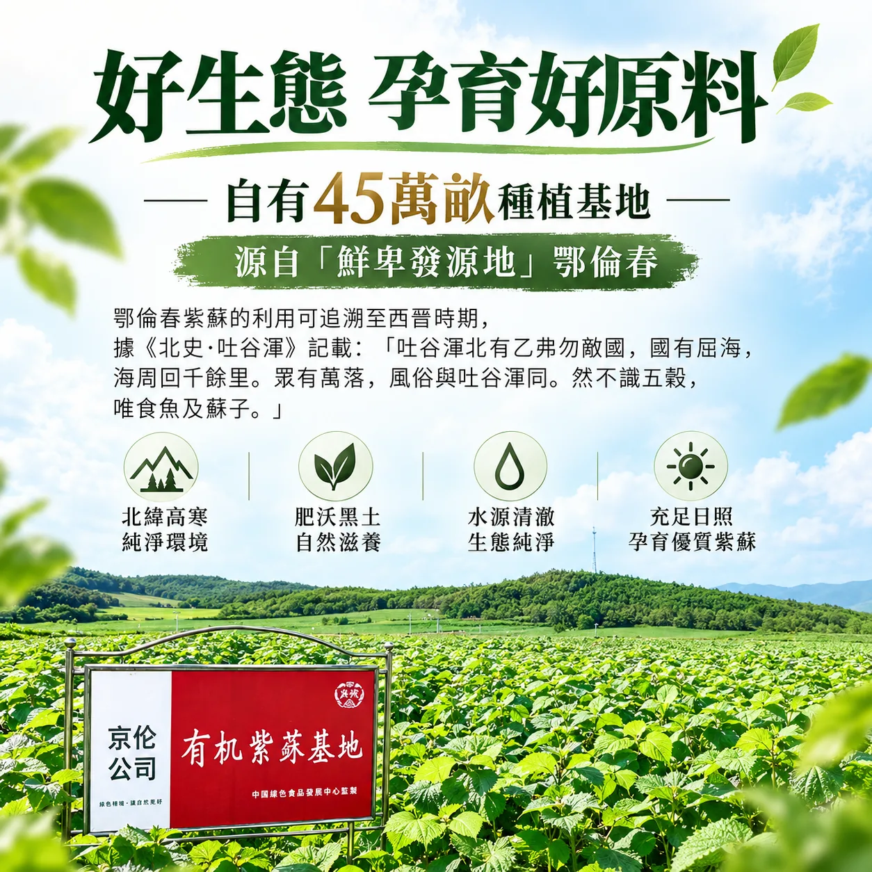 紫蘇籽油(第 3 張)