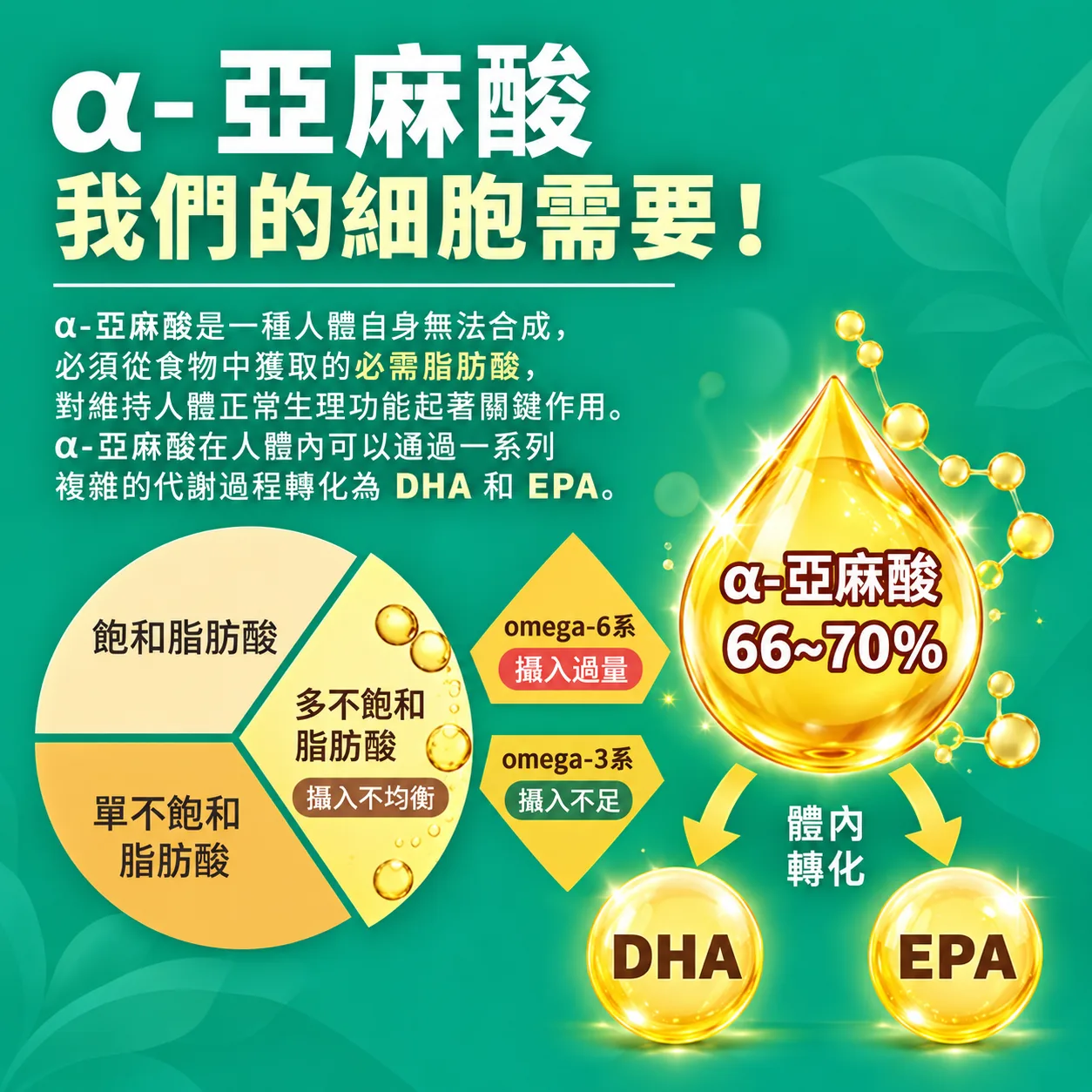 紫蘇籽油(第 6 張)